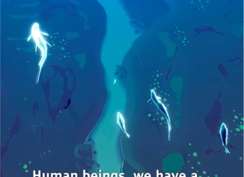 A still image from a video produced about our connection to Rivers