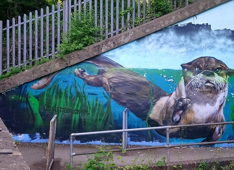 A beautiful mural of an otter underwater