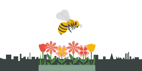 An illustrated wasp, flowers and skyline