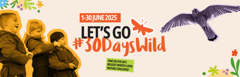 30 Days Wild