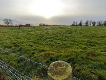 Clayhill Lane field