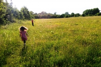 Taskers Meadow Credit Vicky Page / Offshoots Photography