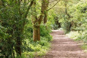 Path through Leam Valley reserve Sue Steward New Leaf Images 2017