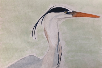 Heron drawing Deborah Wright