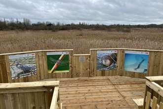 Observation platform