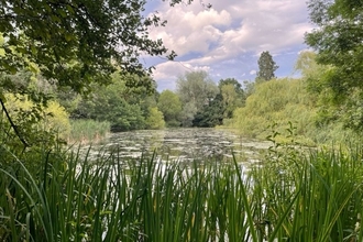 Large pond surrounded by trees and vegetation and blue sky with fluffy clouds