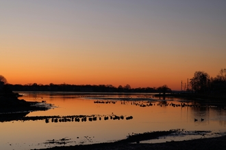 Sunrise over a marsh