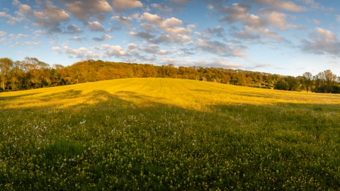 Radway Meadows Evening May 2019 Credit Steve Gale