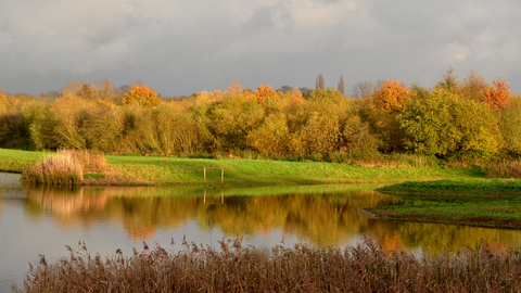 Brandon Marsh Nature Reserve Photography Event