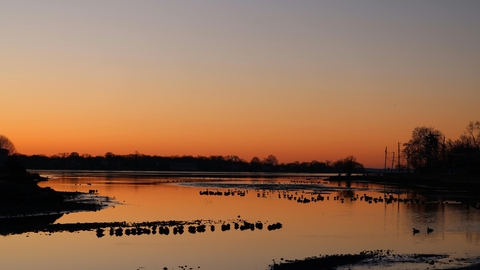 Sunrise over a marsh