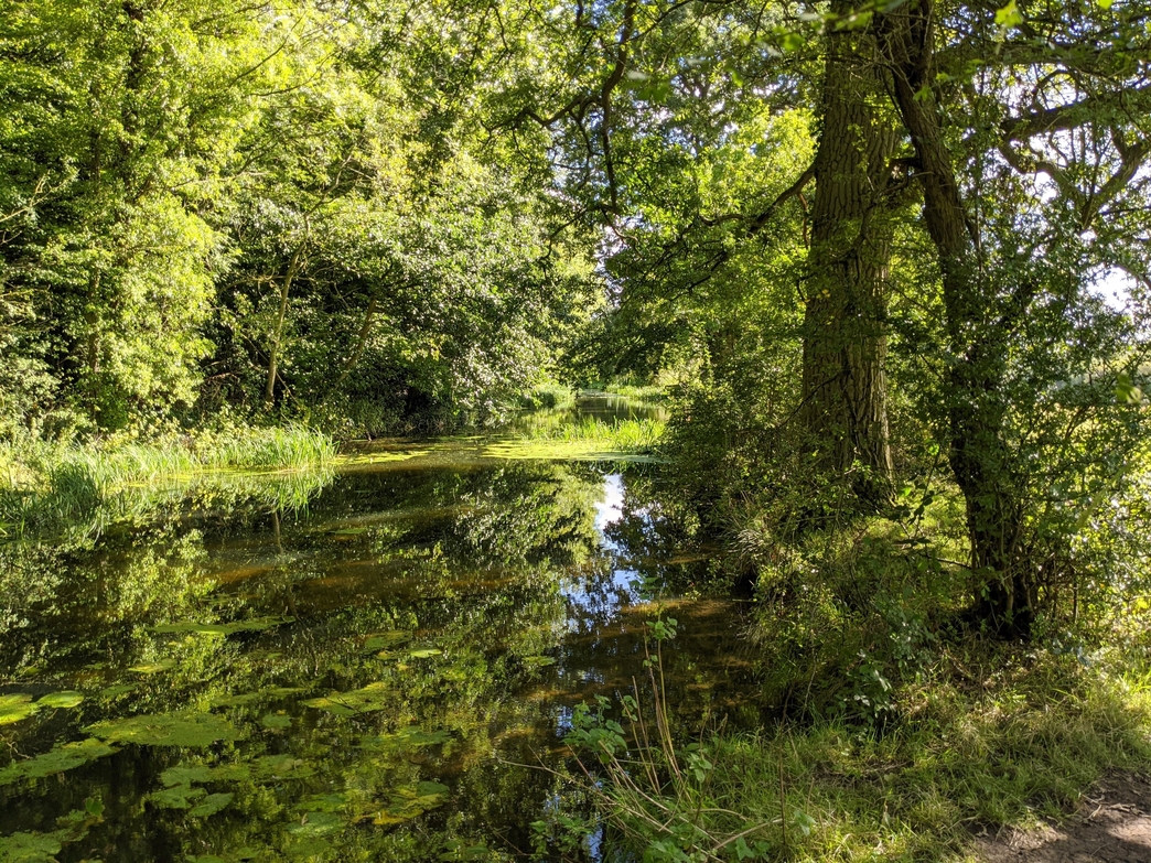 Swift Valley Nature Reserve | Warwickshire Wildlife Trust