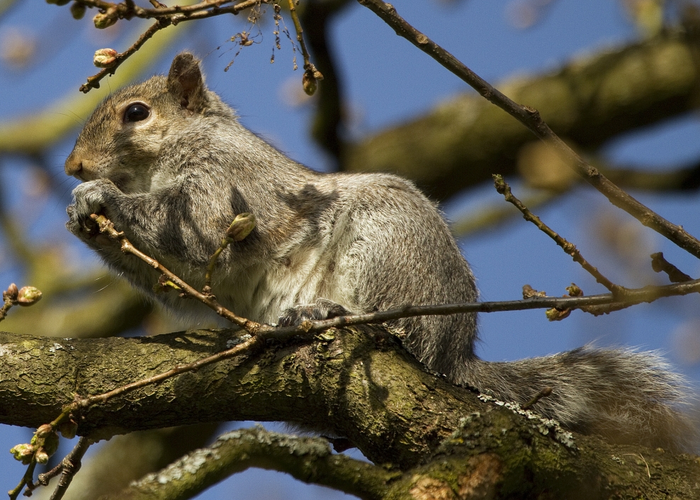 River Arrow | Warwickshire Wildlife Trust