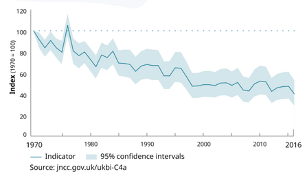 UK biodiversity indicator