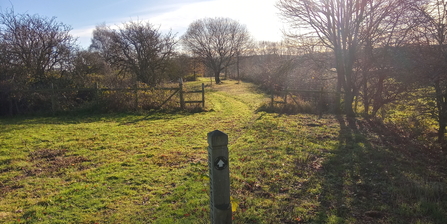 Grassland Path WH Jo Hands