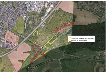 Piles Coppice Phase 2