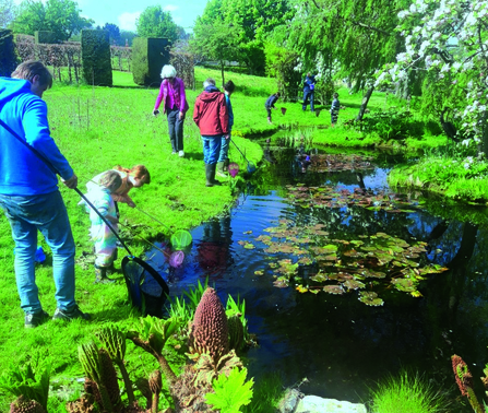 Pond dipping