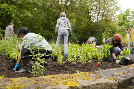 Community garden