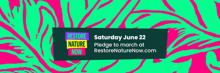 Restore Nature Now banner