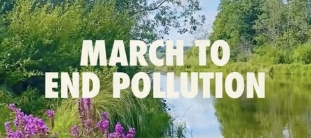 Photo of clean water with purple flowers, bushes, and trees around it with the words 'march to end pollution'