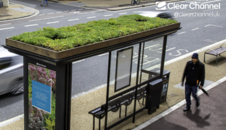 A bus shelter with a grassy roof