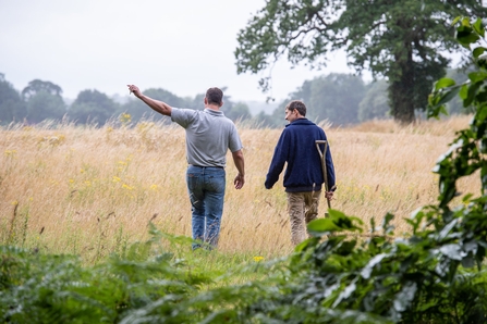 Two people crossing a field of grain