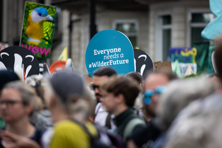 Photo of blue sign at the restore nature now march in London with "everyone needs a #wilderfuture"