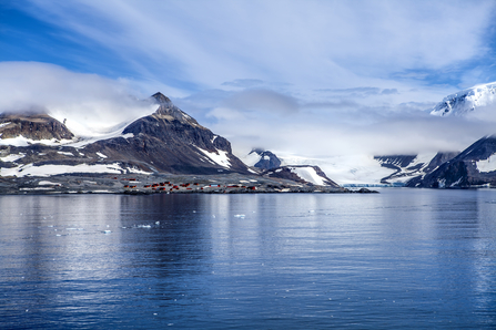 Hope bay, Antarctica