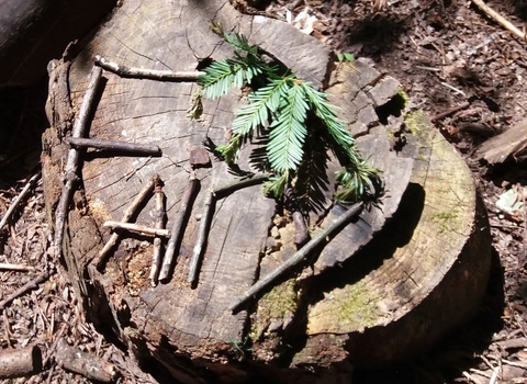 The word 'FAiry' made from sticks