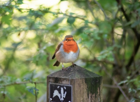 Warwickshire Wildlife Trust (@WKWT) / X