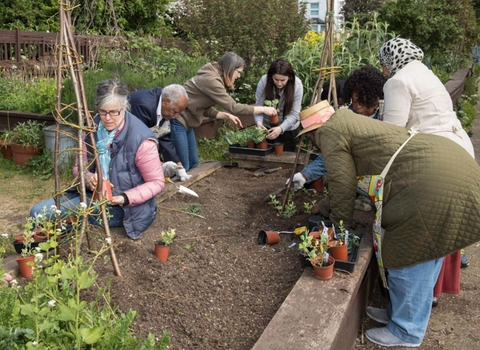 A community garden project